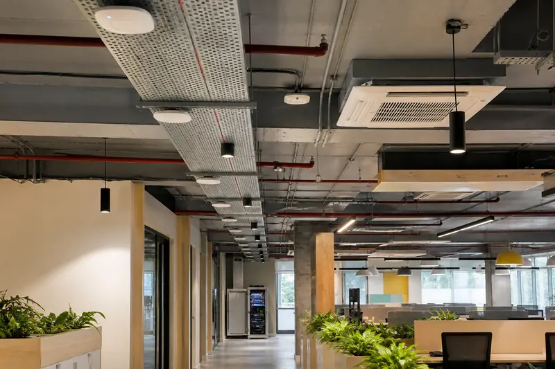 Open-plan office showing distributed ceiling access points, cable containment and a distant network cabinet.